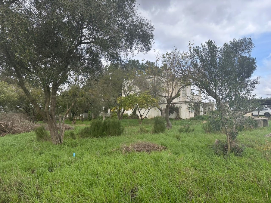 10 Bedroom Property for Sale in Stellenbosch Farms Western Cape
